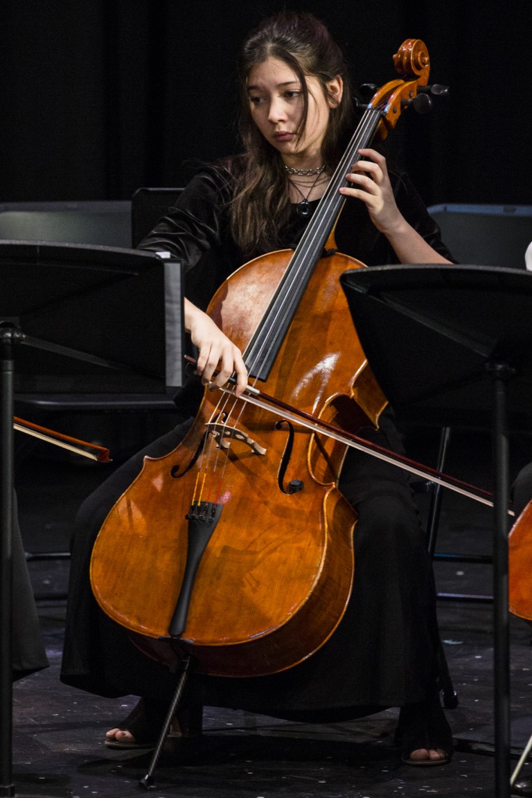 How to Choose Which Instrument to Learn